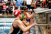 Mercer County Swim Tournament